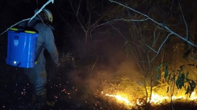 Kebakaran Hutan di Bintan Kembali Terjadi, Penyebab Masih Misterius