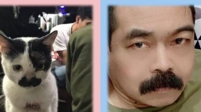 Inul Daratista Samakan dengan Kucing, Suami : Segitunya sama Aku