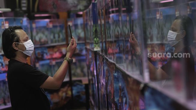 Panitia merekam ikan louhan yang diikutsertakan dalam kontes "Soul of Competition Flowerhorn for Brotherhood" di Sentra Promosi Ikan Hias Johar Baru, Jakarta, Sabtu (29/5/2021). [Suara.com/Angga Budhiyanto]