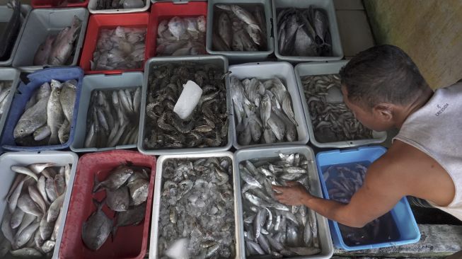 Seorang nelayan memilah hasil tangkapan hasil melaut di TPI Pelabuhan Perikanan Cilacap, Jateng, Jumat (28/5/2021). [ANTARA FOTO/Idhad Zakaria]