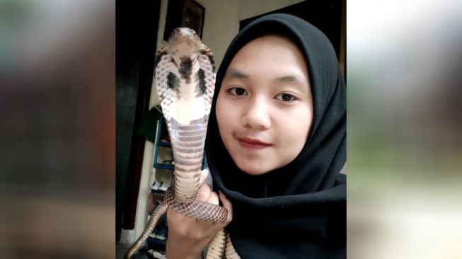 Kenal Ular Sejak Balita, Dara Cantik Asal Lembang Hidup Berdampingan dengan "Rambo"