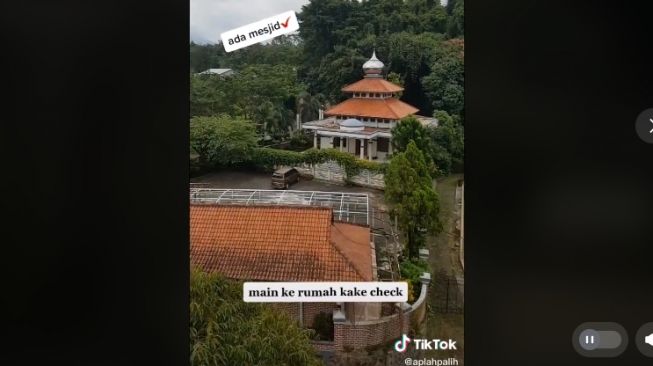 Pria main ke rumah kakek yang super luas (tiktok.com/@aplahpalih)