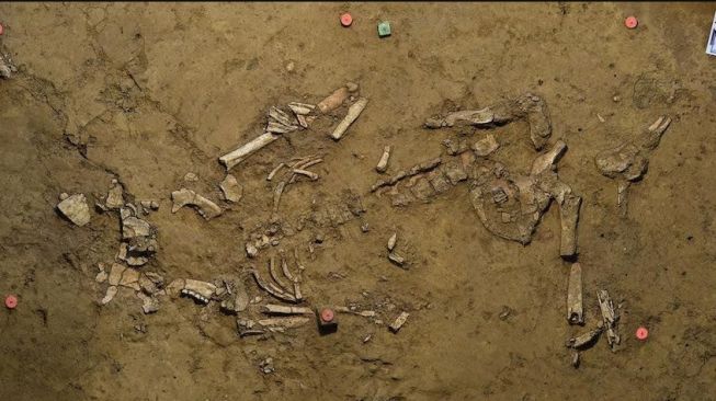 Artefak tertua ditemukan di Jerman dalam makam berusia 3.000 tahun. [Universitat Tubingen]
