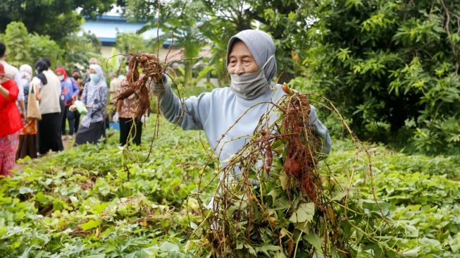 Mensos: Lansia Bukan Beban Tapi Aset Negara dan Penyangga Pembangunan Nasional