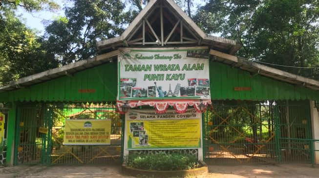 Hutan wisata Punti Kayu Palembang [Fitria/Suara.com]