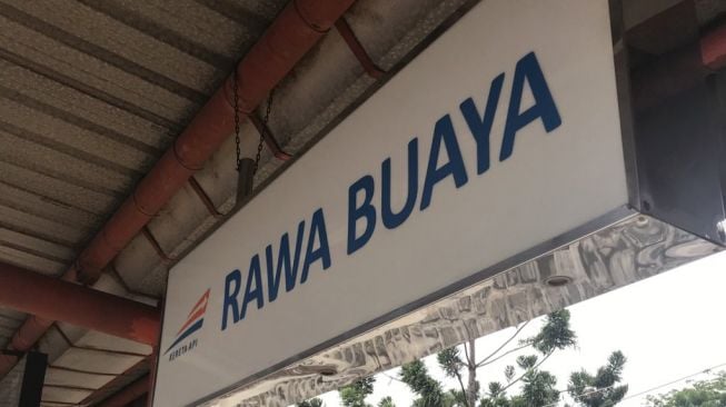 Asal Usul Nama Rawa Buaya Jakarta, Benarkah Dulu di Sana Banyak Buaya?