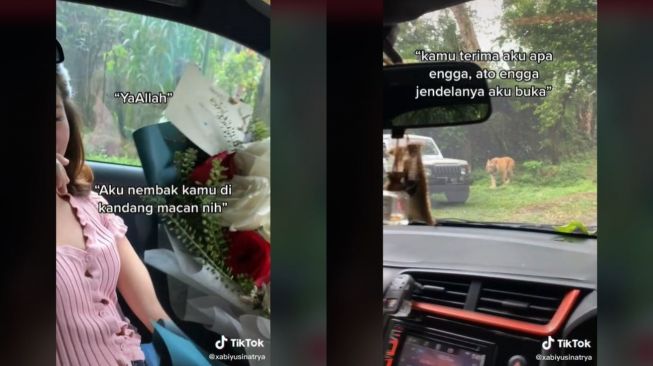 Viral Pria Menyatakan Cinta di Kandang Macan (tiktok.com/@xabiyusinatrya)