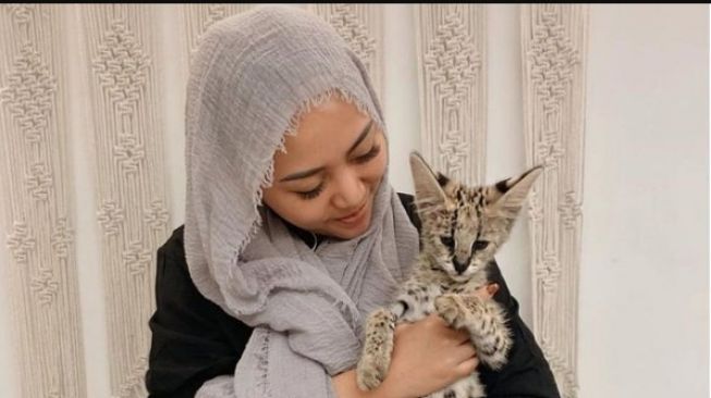 5 Artis Punya Kucing Mahal, Punya Rachel Vennya Bisa Buat Beli Rumah