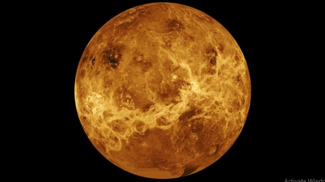 Planet Venus. [NASA]