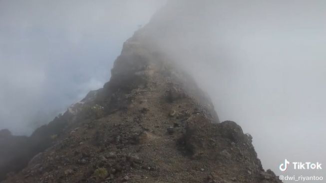 Viral Pendaki Gunung Seberang Jalan Setapak Kanan Kiri Jurang: Jembatan Shiratal Mustaqim