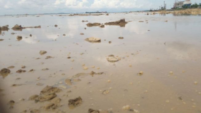 Ada Limbah Beracun di Laut Punggur, Nelayan Tidak Berani Tangkap Udang dan Gonggong