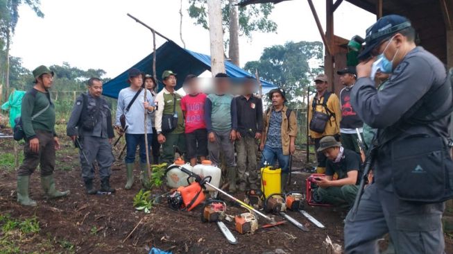 Rusak Hutan Jalur Pendakian Gunung Kerinci, 4 Warga Solok Selatan Ditangkap