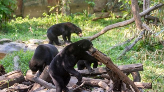 Pengunjung KWPLH Balikpapan Sepi, Butuh Bantuan Dana 