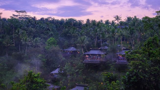 Tempat Wisata di Ubud Bali, Hutan Hujan Hingga Terasering Padi