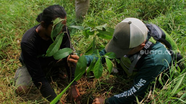 Sejumlah relawan menanam bibit pohon di bantaran kali Cikarang, Kabupaten Bekasi, Minggu (6/6/2021).  [Suara.com/Dian Latifah]