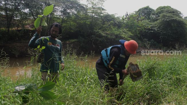Sejumlah relawan menanam bibit pohon di bantaran kali Cikarang, Kabupaten Bekasi, Minggu (6/6/2021).  [Suara.com/Dian Latifah]