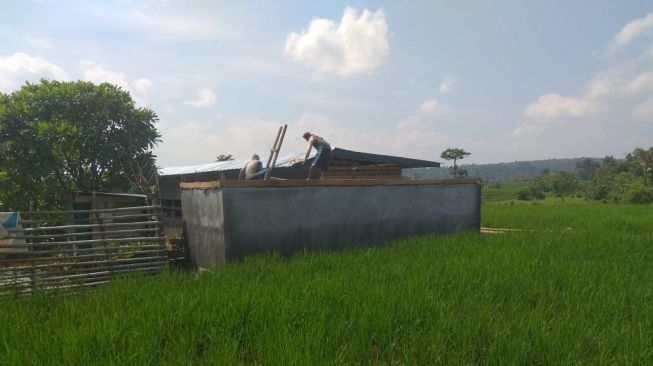 Kementan Bangun Irigasi Perpompaan, Produktivitas Petani Rejang Lebong Melonjak