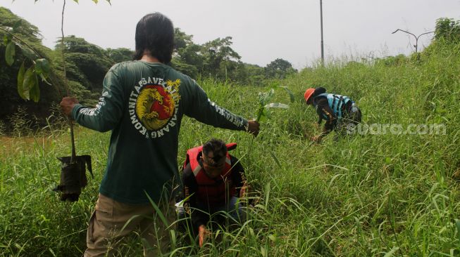 Bantaran Kali Cikarang Ditanami Ratusan Pohon