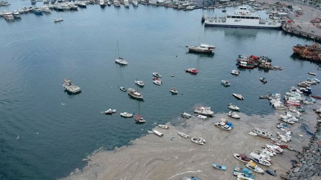 Ngeri! Turki Sedang Hadapi Serangan Wabah Ingus Laut