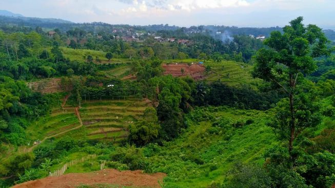 Diteror Preman dan Mafia Tanah, Warga Punclut Minta Negara Turun Tangan