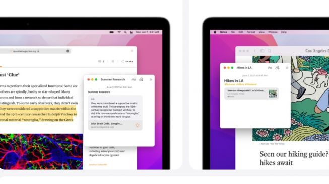 Fitur Notes di macOS Monterey. [Apple]