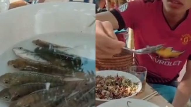 Viral Video Kebiasaan Warga Thailand Makan Ikan Hidup, Warganet Indonesia Heboh