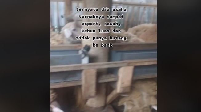 Tertipu penampilan, ternyata juragan. (TikTok)