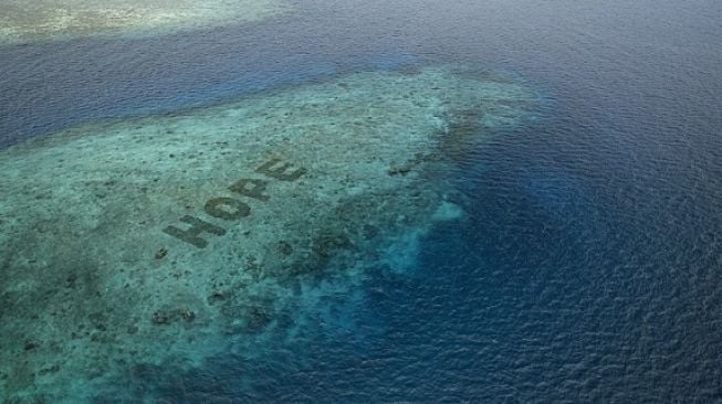 Lindungi Ekosistem Laut, Inilah Restorasi Terumbu Karang Terbesar di Dunia