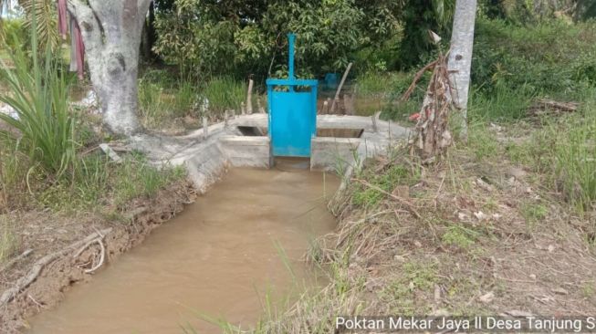 Embung Membuat Petani di Bojonegoro Mampu Kembangkan Pertanian