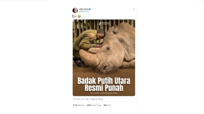 Badak Putih Utara disebut punah. [Twitter]