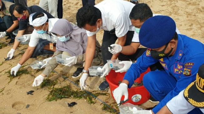 KLHK Lepasliarkan 500 Ekor Tukik Penyu di Pantai Sanur Bali