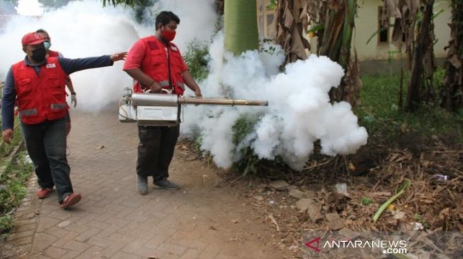 Seorang Balita di Kabupaten Jember Meninggal Akibat DBD, PMI Langsung Fogging