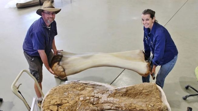 Dinosaurus Setinggi Gedung 2 Lantai Ditemukan di Australia