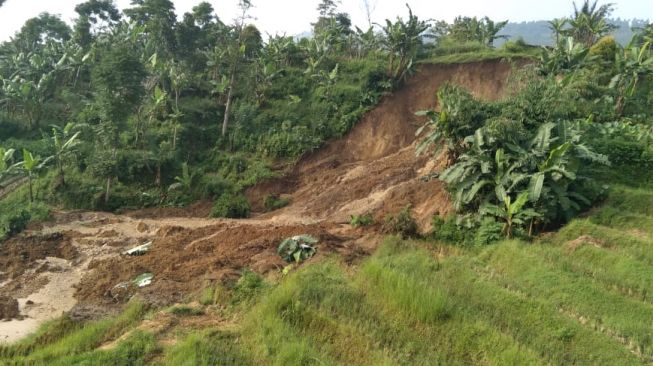 Lagi, Longsor di Cianjur Satu Hektar Sawah Milik Warga Terdampak