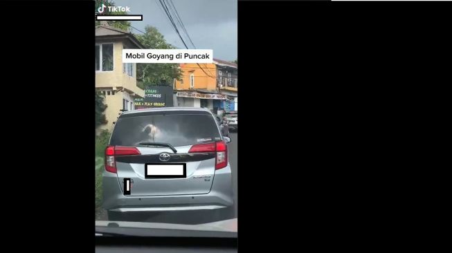 Viral Lihat Mobil Goyang Pas Macet (TikTok)