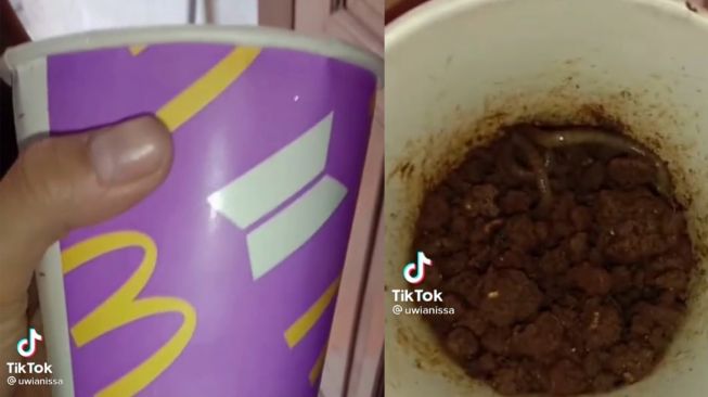 Gelas BTS Meal Dipakai Buat Cari Cacing Oleh Ayahnya, Cewek Ini Nangis. (Dok: TikTok/uwianissa )