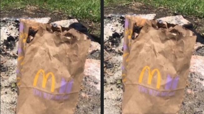 Viral bungkus BTS Meal McDonald's dibakar. Dalam sebuah video singkat Bungkus BTS Meal dibakar dengan menggunakan korek api. 