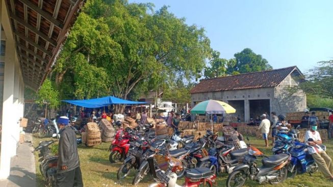 Direlokasi, Pedagang Unggas dari Pasar Turi Minta Fasilitas Dilengkapi