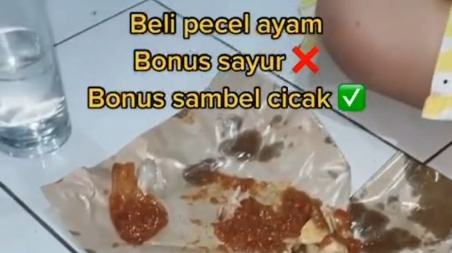 Viral cicak di pecel ayam. (Dok. TikTok)