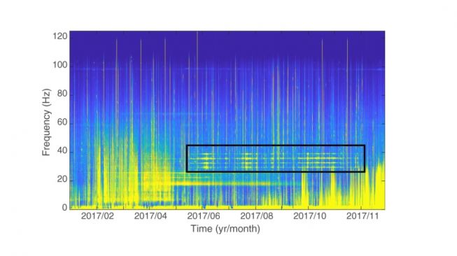 Spektogram data jangka panjang yang direkam di sisi timur Kepulauan Chagos. [Nature]