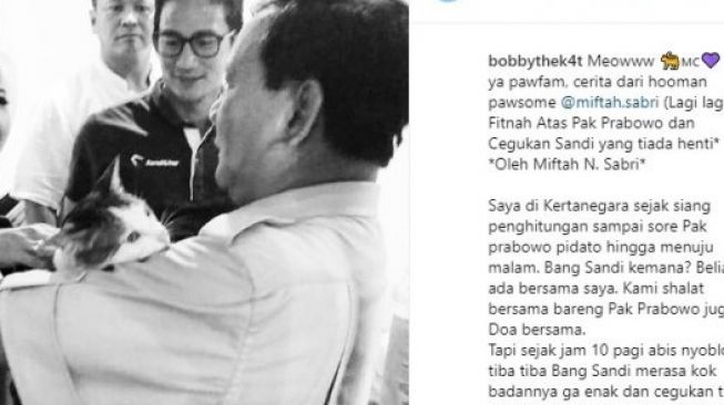 Cerita Lucu Prabowo Pelihara Kucing, Sering Sedih sama Sepatu dan Tas Tamu