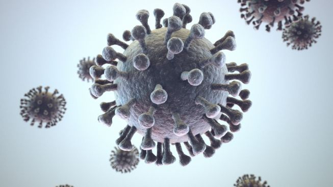 Illustration of the Corona Covid-19 virus.  (Doc. Envato)