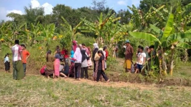 Bikin Heboh! Sumber Air Tiba-tiba Keluar di Tengah Sawah, Dipercaya Warga Jadi Obat