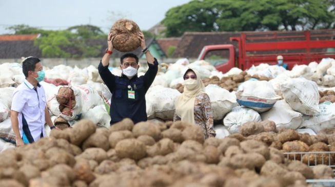 Mentan, Syahrul Yasin Limpo dan industri porang. (Dok: Kementan)