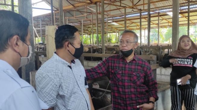 Samsun Kunjungi Perusahaan Peternak Sapi Untuk Pastikan Stok Daging Kurban