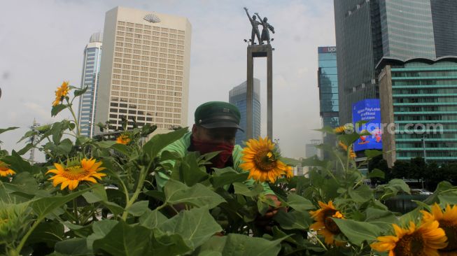 Petugas menata bunga Matahari di Bundaran HI, Jakarta, Jumat (18/6/2021).  [Suara.com/Dian Latifah]