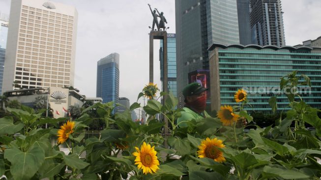 Petugas menata bunga Matahari di Bundaran HI, Jakarta, Jumat (18/6/2021).  [Suara.com/Dian Latifah]