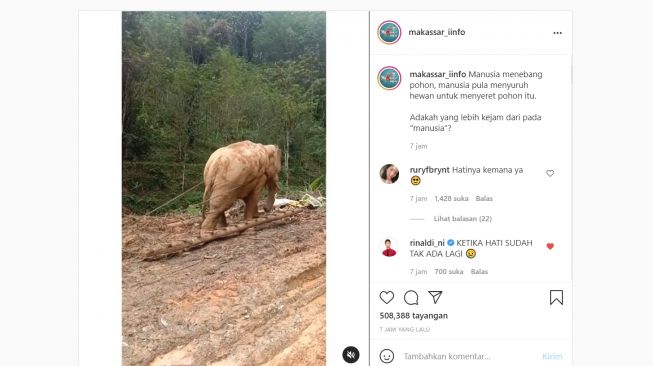 Viral Video Gajah Angkut Pohon Kayu di Hutan (Instagram/Makassar_iinfo)