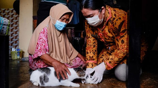 Dokter hewan dari Pemerintah Kabupaten Bangka memeriksa anak kucing berwajah dua di Sripemandang Sungailiat, Kabupaten Bangka, Provinsi Kepulauan Bangka Belitung, Kamis (17/6/2021).  ANTARA FOTO/Anindira Kintara