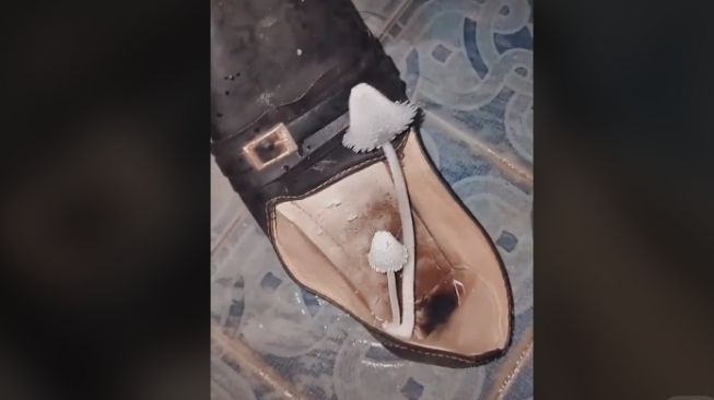 Wanita syok lihat bentuk jamur di sepatunya (tiktok)